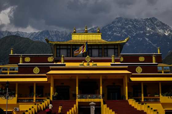 Gyuto Monastery at Sidhbari, below the Dhauladhar