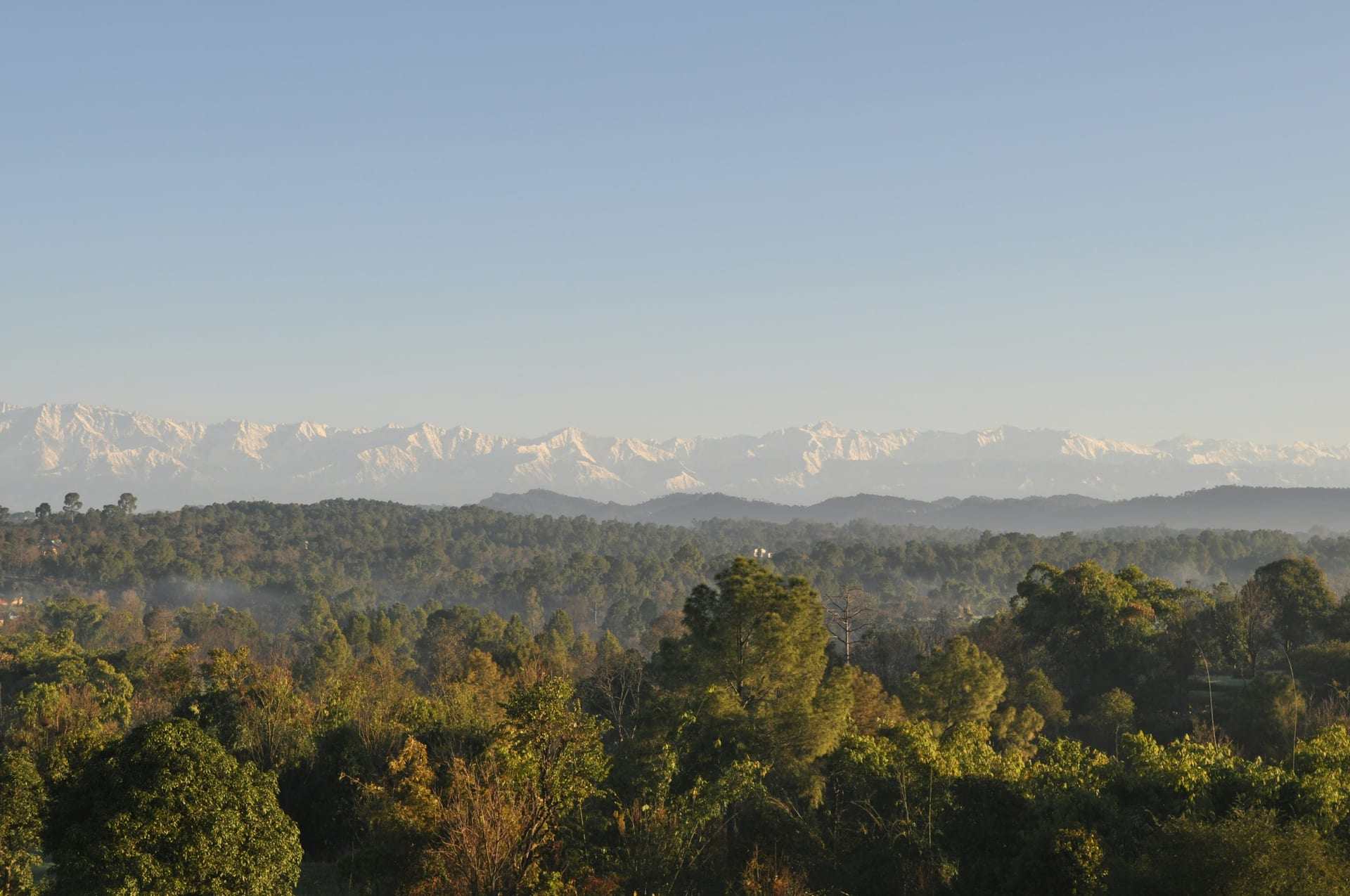 The Dhauladhar range rising above the Kangra valley